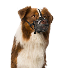 DUVO+ Rubber Dog Muzzle
