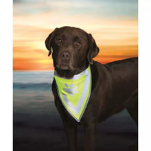 Trixie Biztonsági Kendő Kutyának