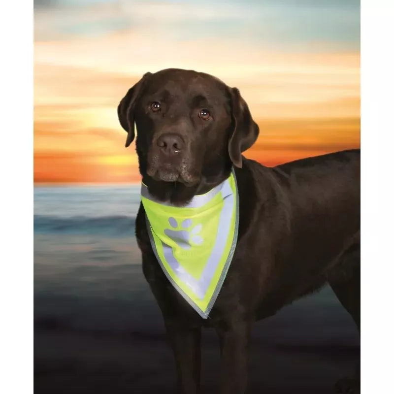 Trixie Biztonsági Kendő Kutyának