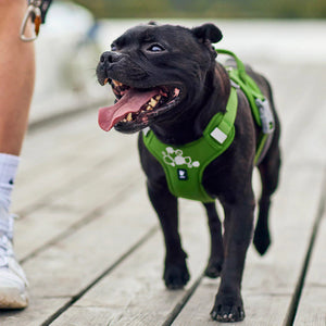 Hurtta Weekend Warrior Harness II ECO