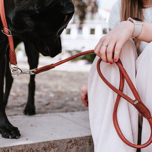 Leash Round & Soft Canadian Up