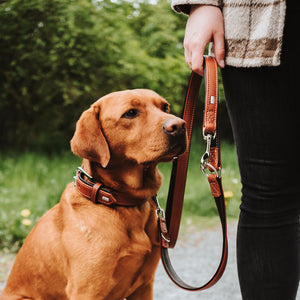 Training leash Canadian Up