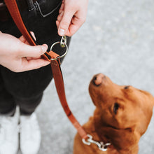 Training leash Canadian Up