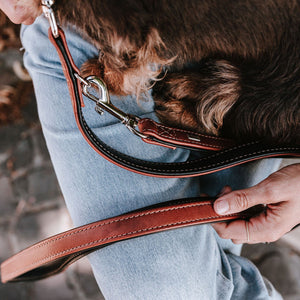 Training leash Canadian Up