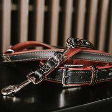 Training leash Canadian Up