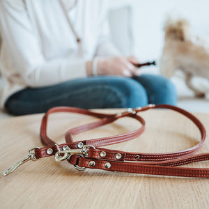 Training leash Canadian Up