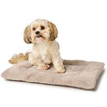 Dog Mat Rockford