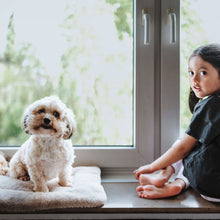 Dog Mat Rockford