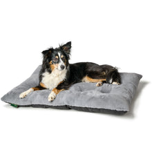 Dog Cushion Rockford