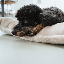 Dog Cushion Rockford