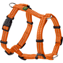 Harness Tripoli