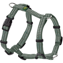 Harness Tripoli