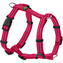 Harness Tripoli
