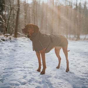 Dog Coat Nordby Kutyakabát