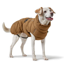 Dog Coat Paxson Kutyakabát