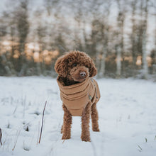 Dog Coat Paxson Kutyakabát