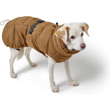 Dog Coat Paxson Kutyakabát