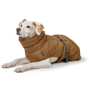 Dog Coat Paxson Kutyakabát