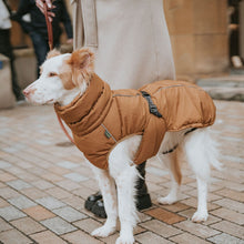 Dog Coat Paxson Kutyakabát