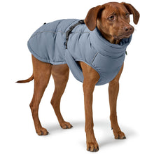 Dog Coat Paxson Kutyakabát