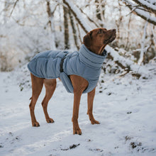 Dog Coat Paxson Kutyakabát