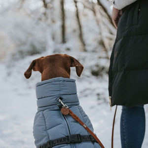 Dog Coat Paxson Kutyakabát