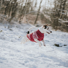 Dog Pullover Birka