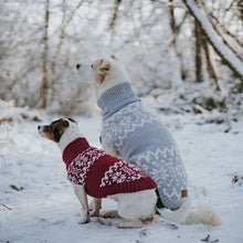 Dog Pullover Birka