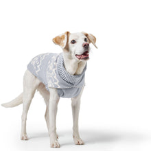 Dog Pullover Birka