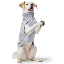 Dog Pullover Birka