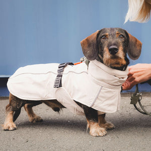 Dog Coat Nordby Kutyakabát Tacskó Alkatú Kutyáknak