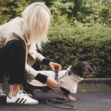 Dog Coat Nordby Kutyakabát Tacskó Alkatú Kutyáknak