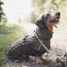 Dog Coat Nordby Kutyakabát Tacskó Alkatú Kutyáknak