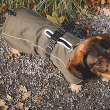 Dog Coat Nordby Kutyakabát Tacskó Alkatú Kutyáknak