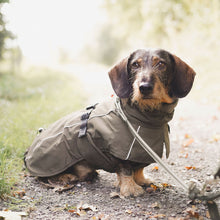 Dog Coat Nordby Kutyakabát Tacskó Alkatú Kutyáknak