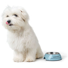 Melamine Feeding Bowl Mayfair