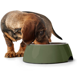 Melamine Bowl