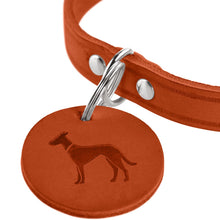 Collar Aalborg