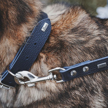 Collar Valdivia
