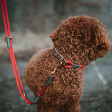 Training Leash Malia