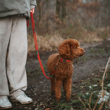 Training Leash Malia