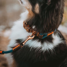 Training Leash Malia