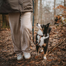 Training Leash Malia