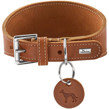 Greyhound Collar Aalborg