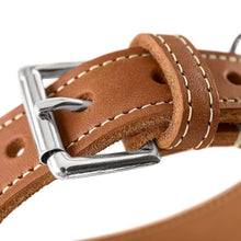 Greyhound Collar Aalborg