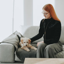 Foldable Travel Blanket for Dogs Seoul