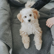 Foldable Travel Blanket for Dogs Seoul