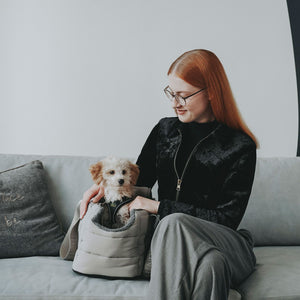 2-in-1 Dog Carrier and Blanket Seoul