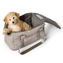 2-in-1 Dog Carrier and Blanket Seoul