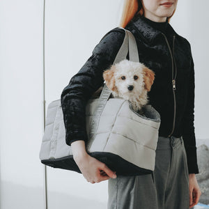 2-in-1 Dog Carrier and Blanket Seoul